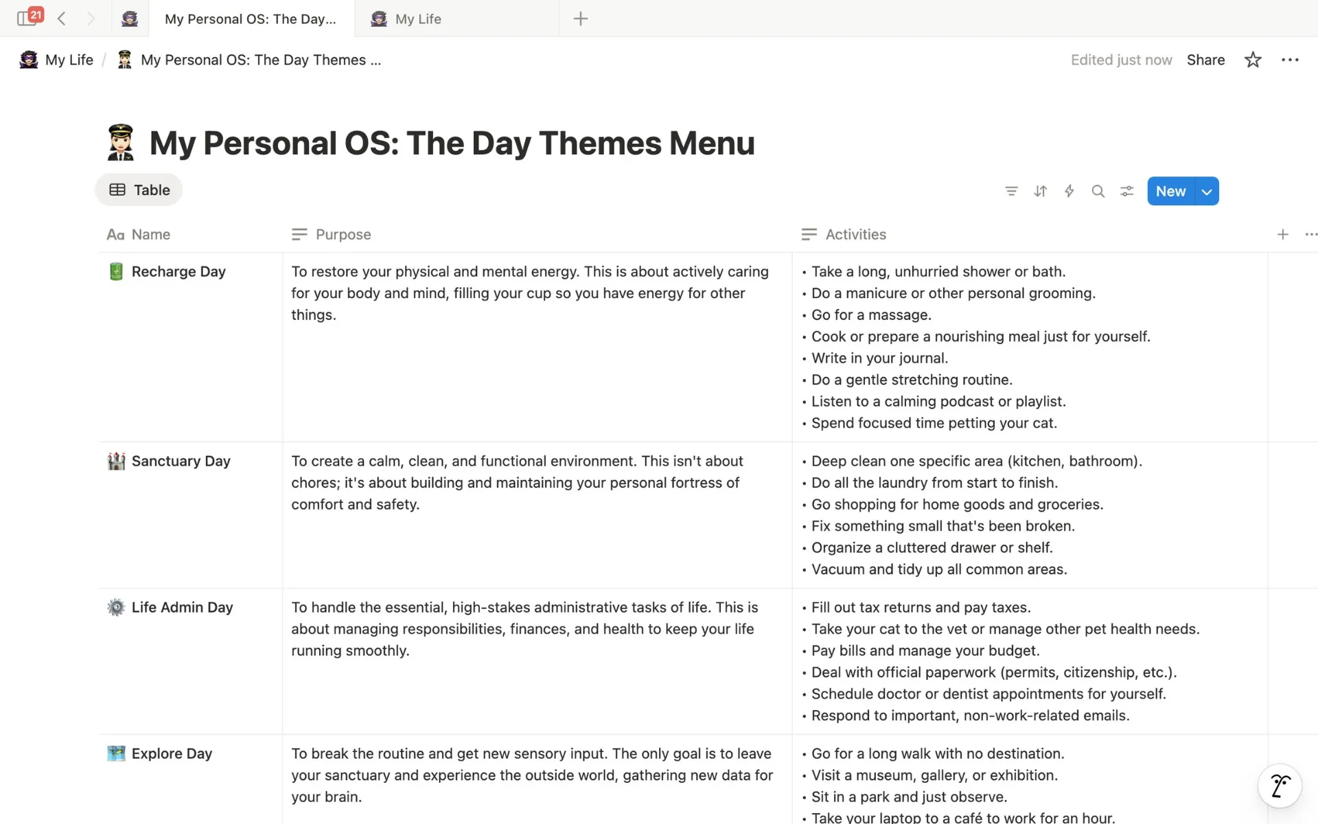 A screenshot of a Notion database showing different Day Themes like Recharge, Founder, and Create.